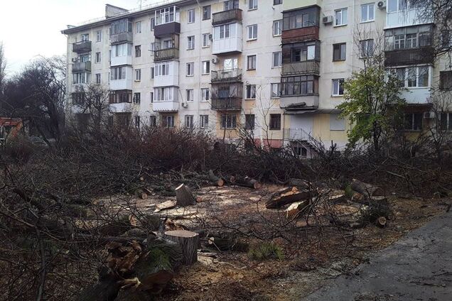 "Оргії дроворубів": у мережі показали жахливі реалії "русского міра" у Криму