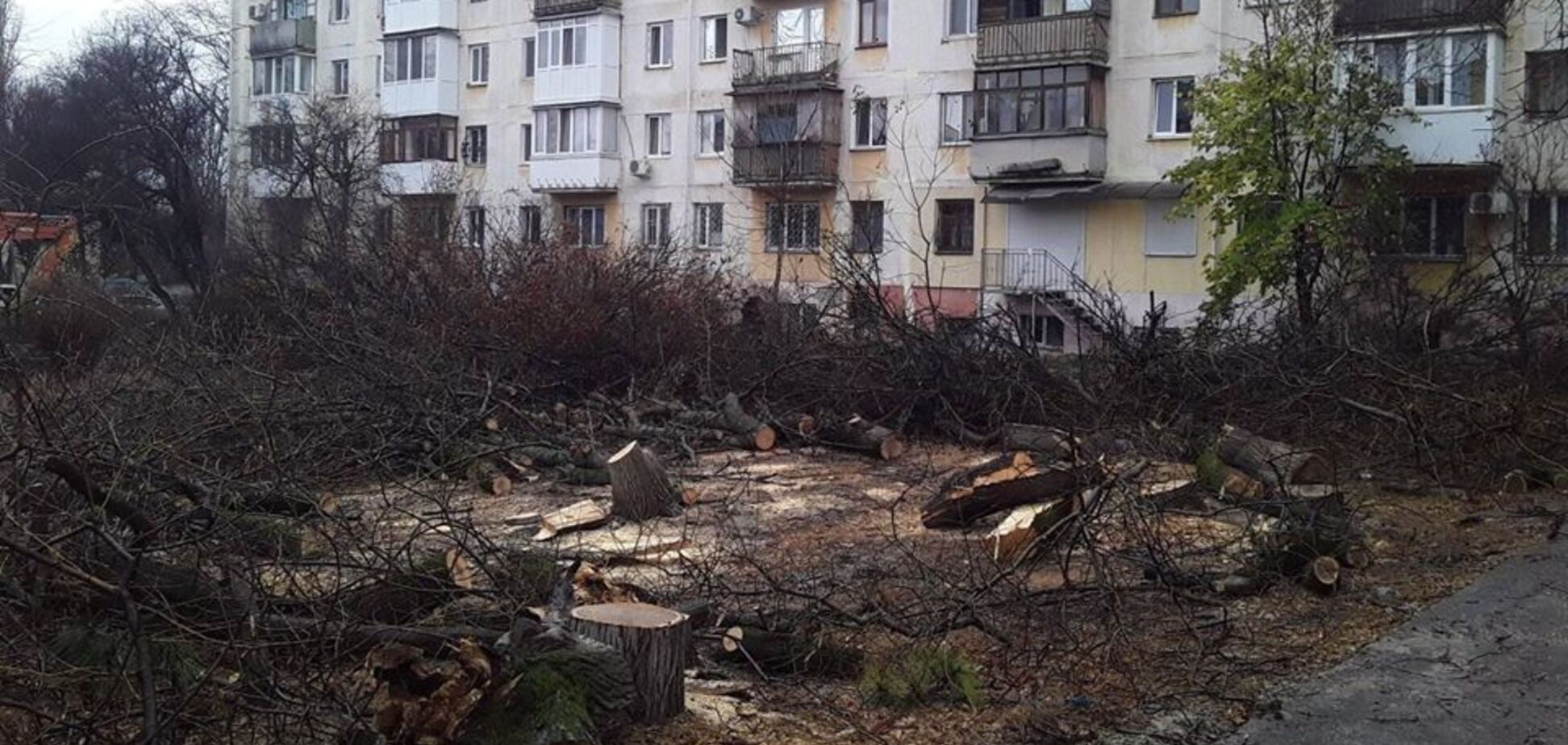 'Оргии дровосеков': в сети показали ужасные реалии 'русского мира' в Крыму