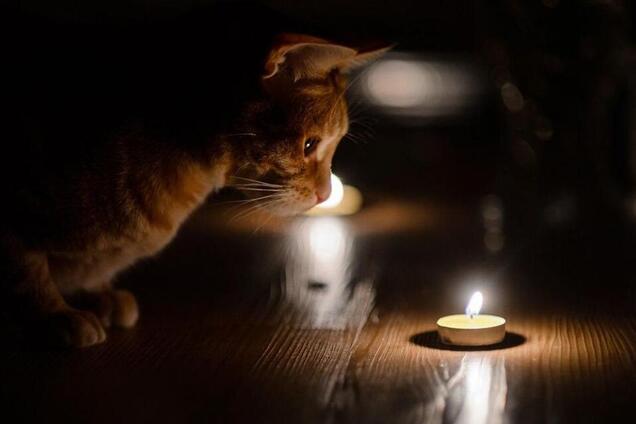 Пять районов Днепра останутся без света: адреса