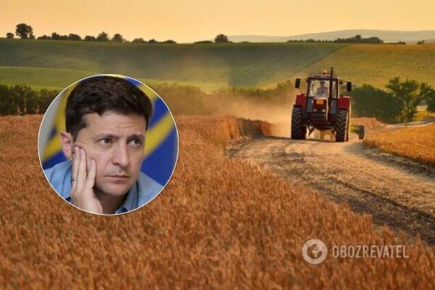 В Украине 80% землевладельцев могут потерять паи: как обманули нардепов