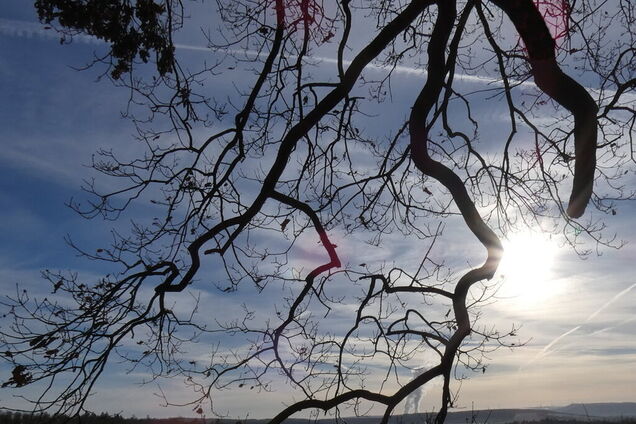 Сніг скасовується: синоптикиня уточнила прогноз погоди в Україні