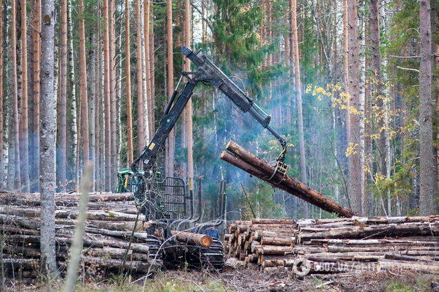 Прем’єр-міністр зазначив, що проєкт допоможе побороти корупцію та зменшить незаконний обіг української деревини