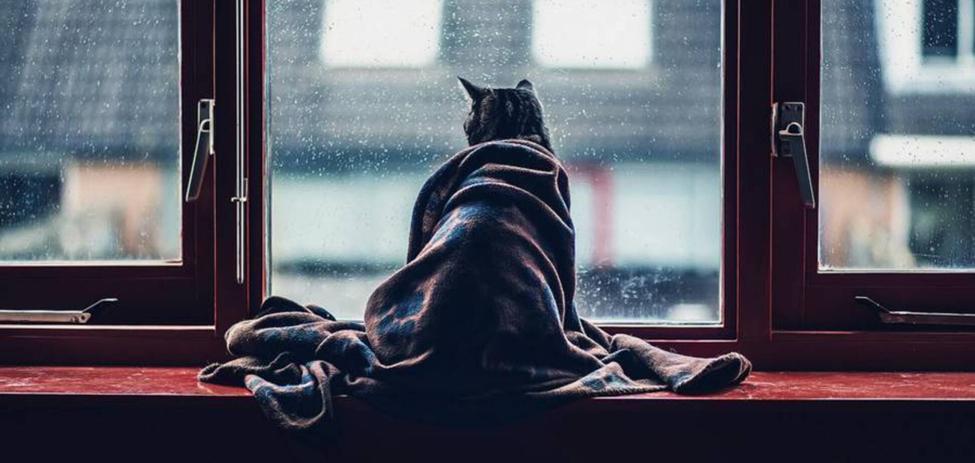 Похмуро і сиро: з'явився прогноз погоди на 7 грудня в Дніпрі