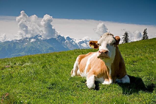 База ГРУ в Альпах: у кого 'шапка горит'