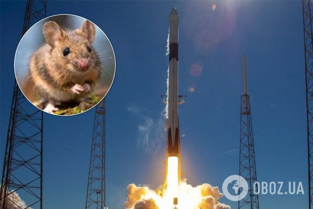 SpaceX запустила в космос тварин-мутантів. Відео