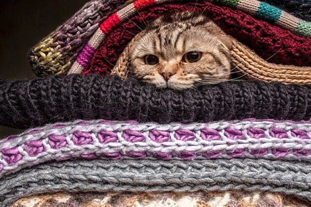 Буде ще тепліше: синоптики уточнили прогноз погоди по Україні