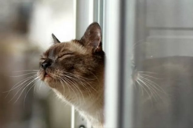 Погода в Украине: синоптики предупредили о потеплении