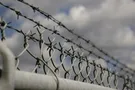 Легалізація та ліквідація