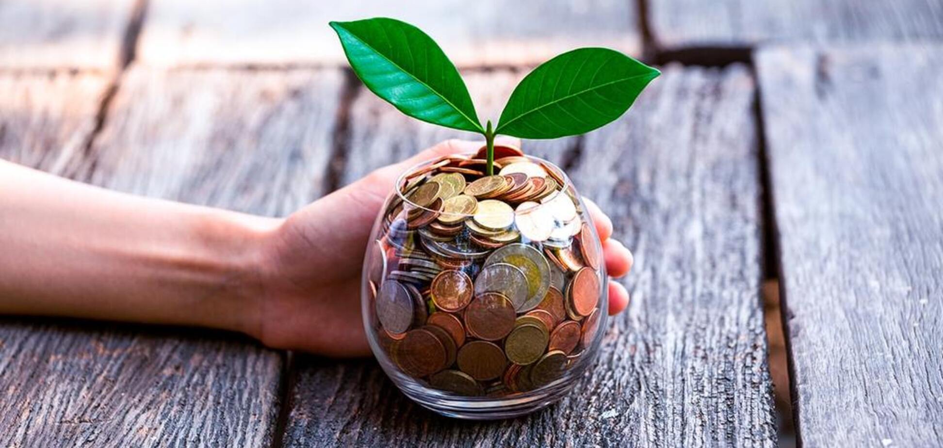 Используют не по назначению: в Украине разоблачили схему с эко-налогами