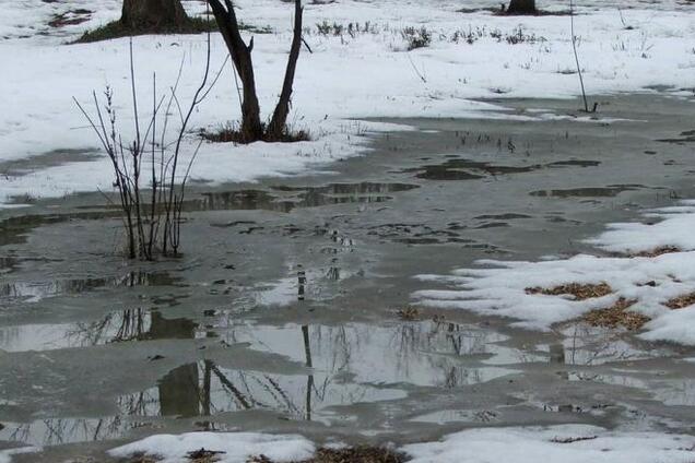 Дощі і до +14: синоптик дала ''весняний'' прогноз по Україні