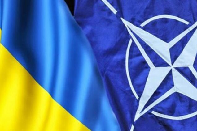 Изменения в Конституции Украины: появилась реакция НАТО