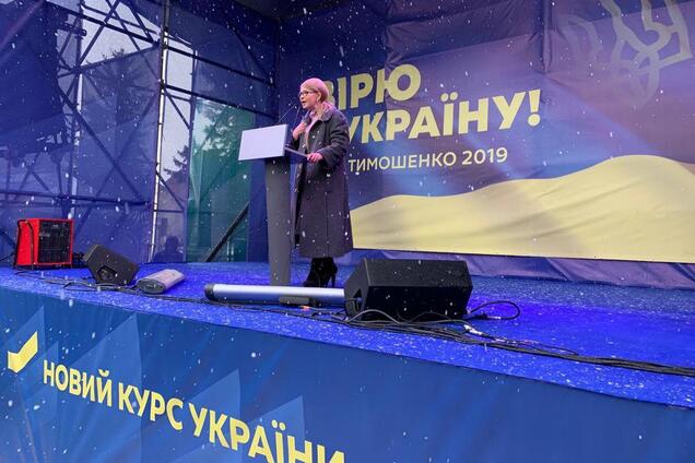Тимошенко: мы создадим все условия, чтобы украинцы жили и работали на Родине