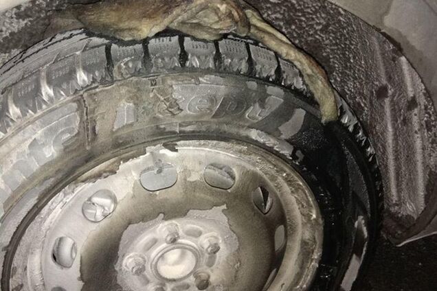 В Запорожье злоумышленник пытался сжечь автомобиль