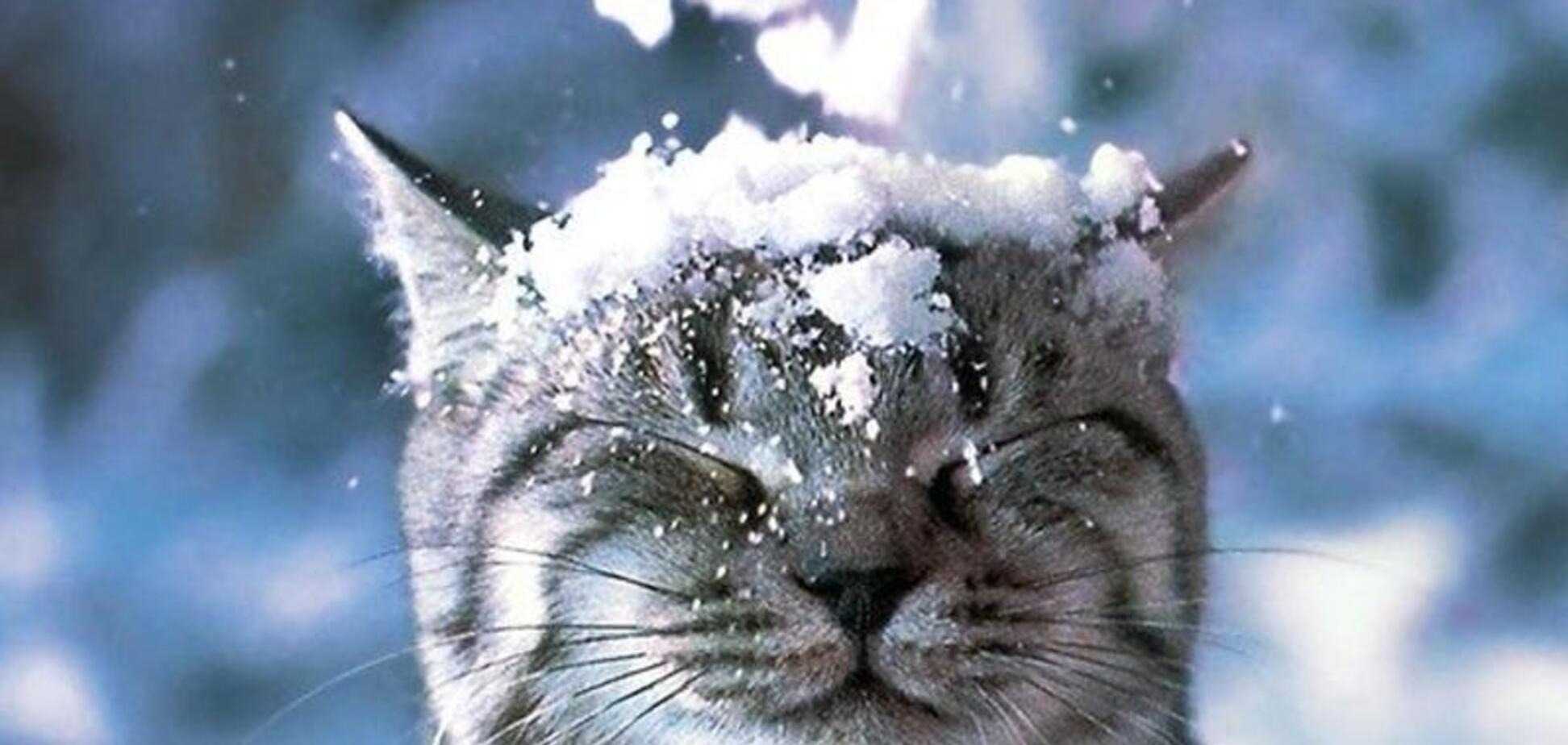 После снега заморозит: синоптики уточнили изменение погоды в Украине