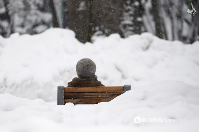 Мороз утримається: синоптики уточнили прогноз на День закоханих в Україні