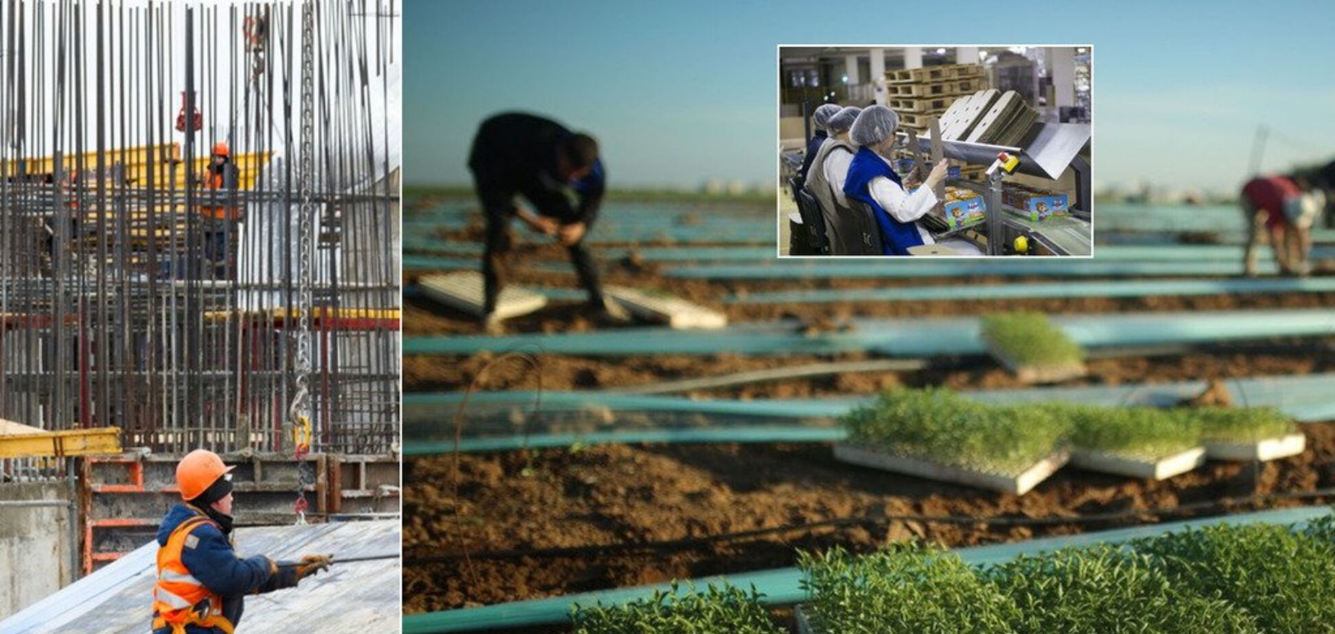 ''Избили и поставили на счетчик'': что ждет украинских заробитчан в Германии и Польше