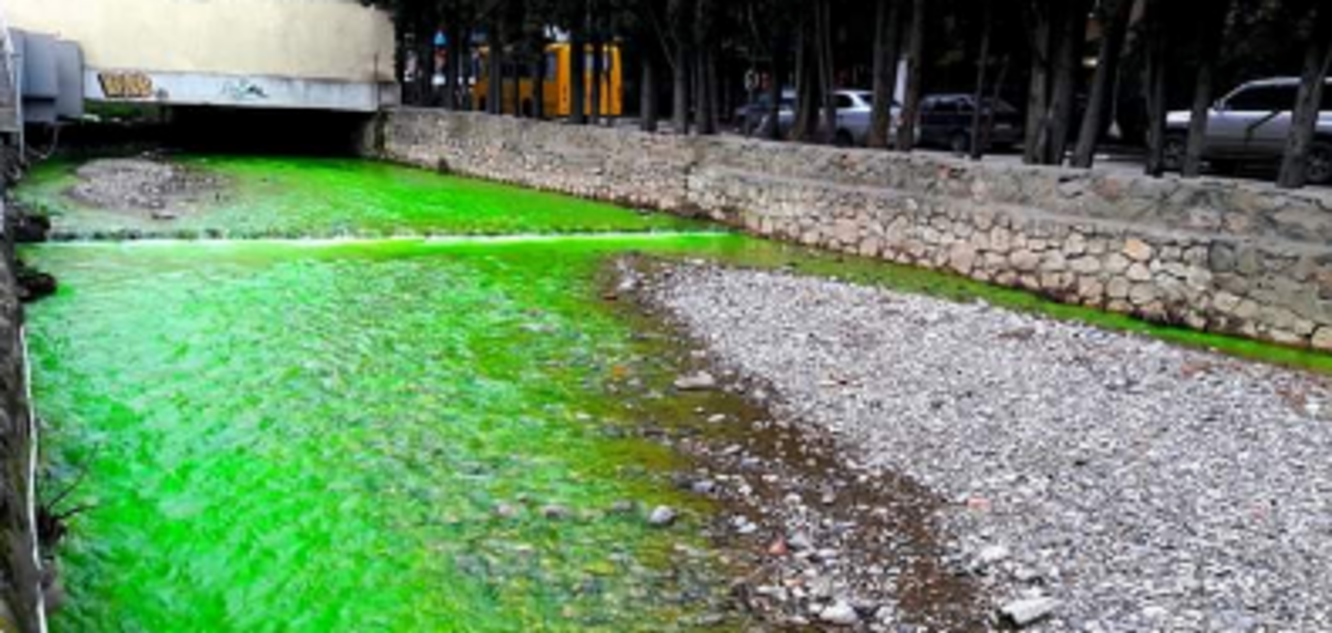 Вонь и зеленые реки: в Крыму опять случилось экологическое ЧП