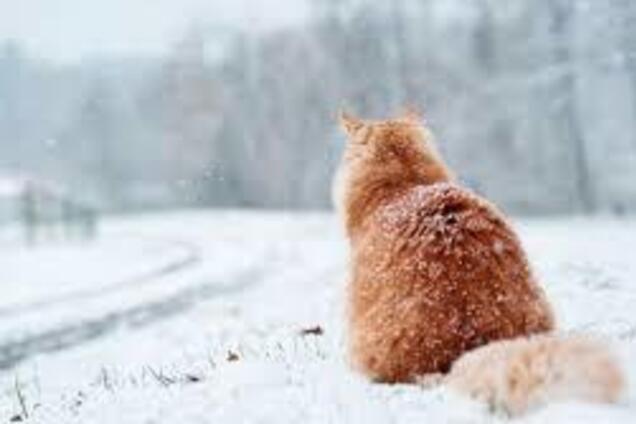 Весна, держись: синоптики предупредили о перемене погоды в Украине