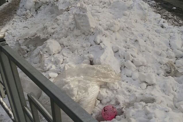 У Росії до приїзду Путіна місто завалили снігом і зрубаними ялинками