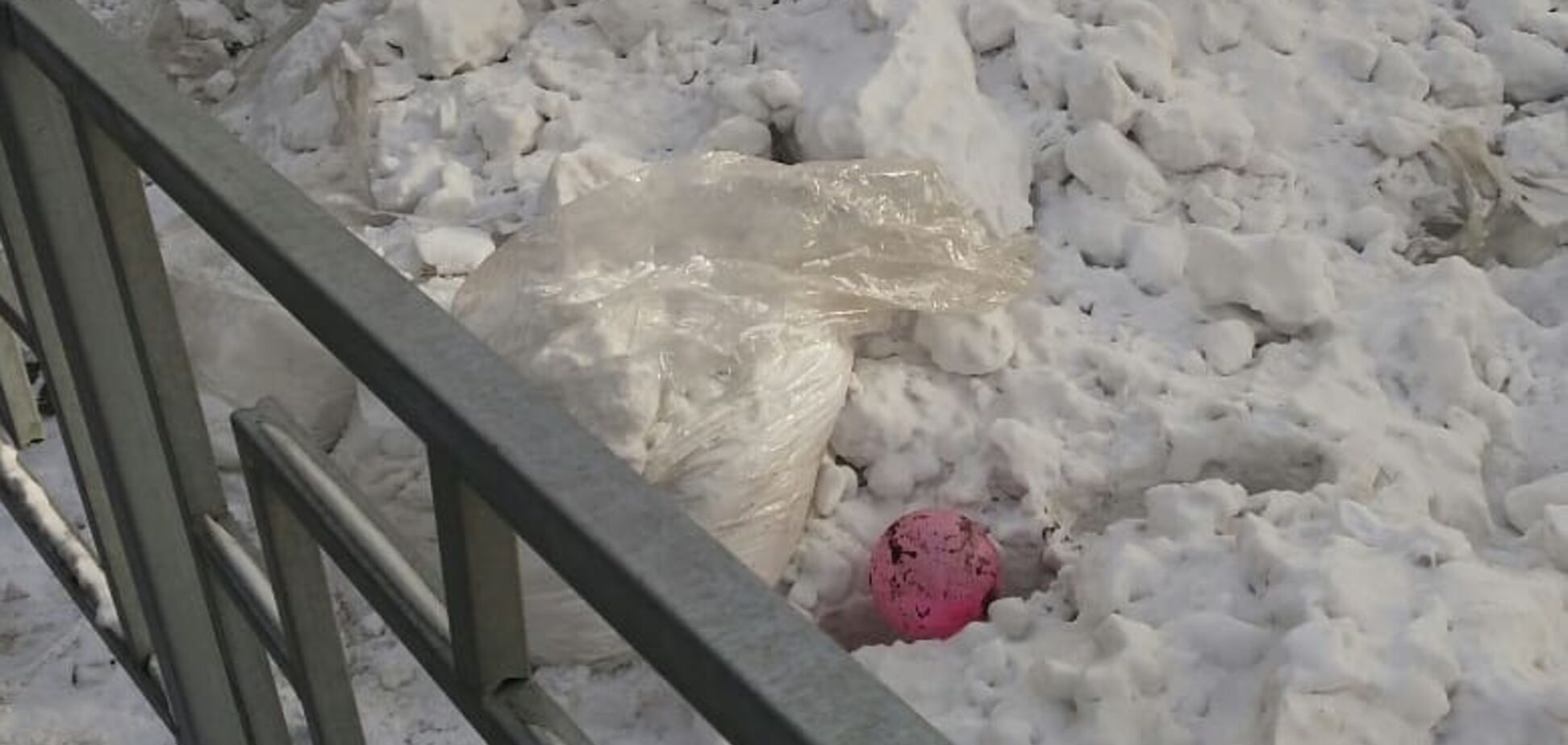 В России к приезду Путина город завалили снегом и срубленными елками