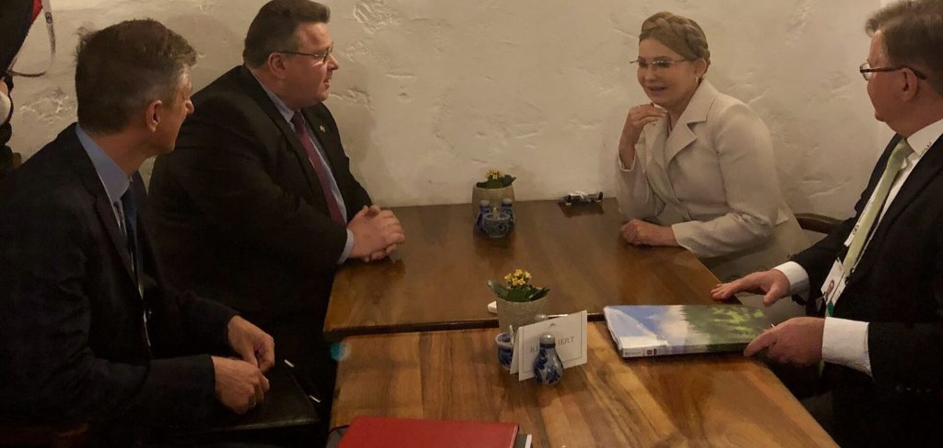 Юлия Тимошенко встретилась с министром иностранных дел Литвы