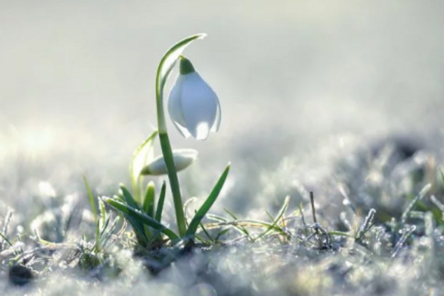 Весна прийшла: синоптики попередили про різке потепління в Україні