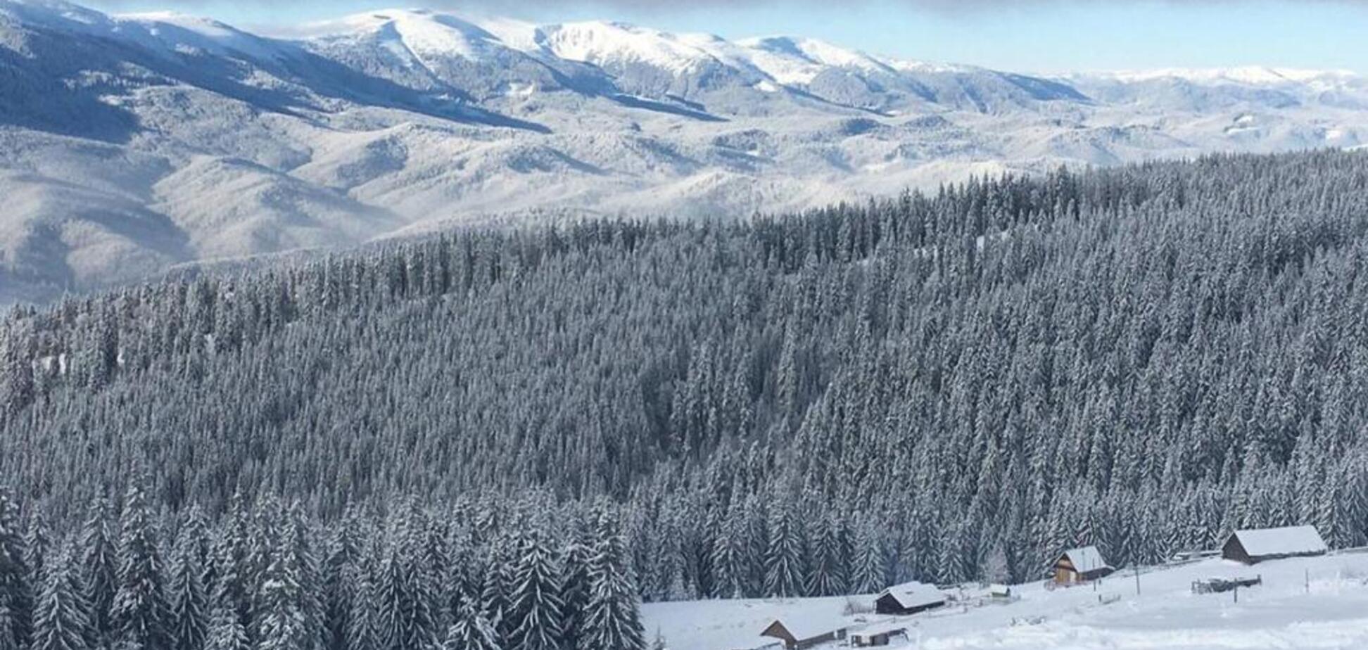 Шукали з вертольотом: на Закарпатті під час прогулянки зникла туристка