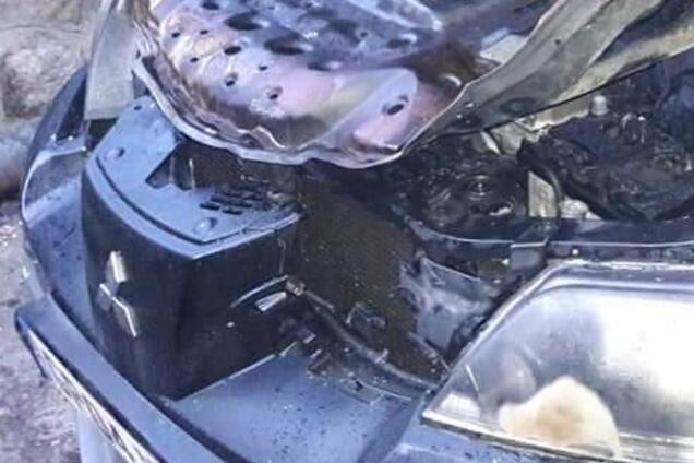 Під Києвом депутату підпалили авто на єврономерах: фото наслідків