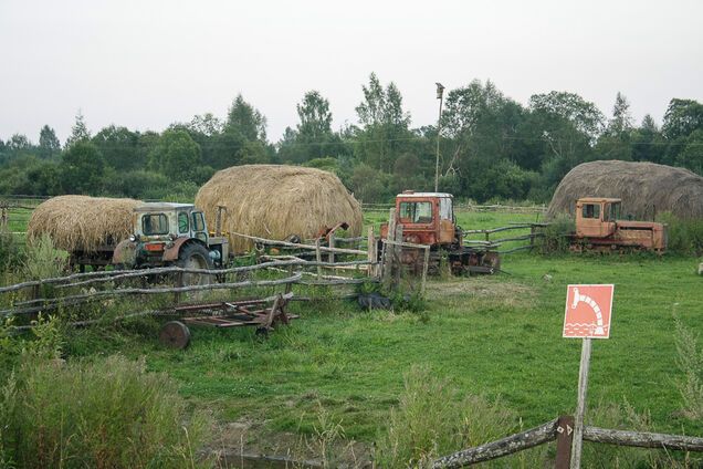 'Без пенсии и лекарств!' Стало известно, как украинец поплатился за переезд в Россию