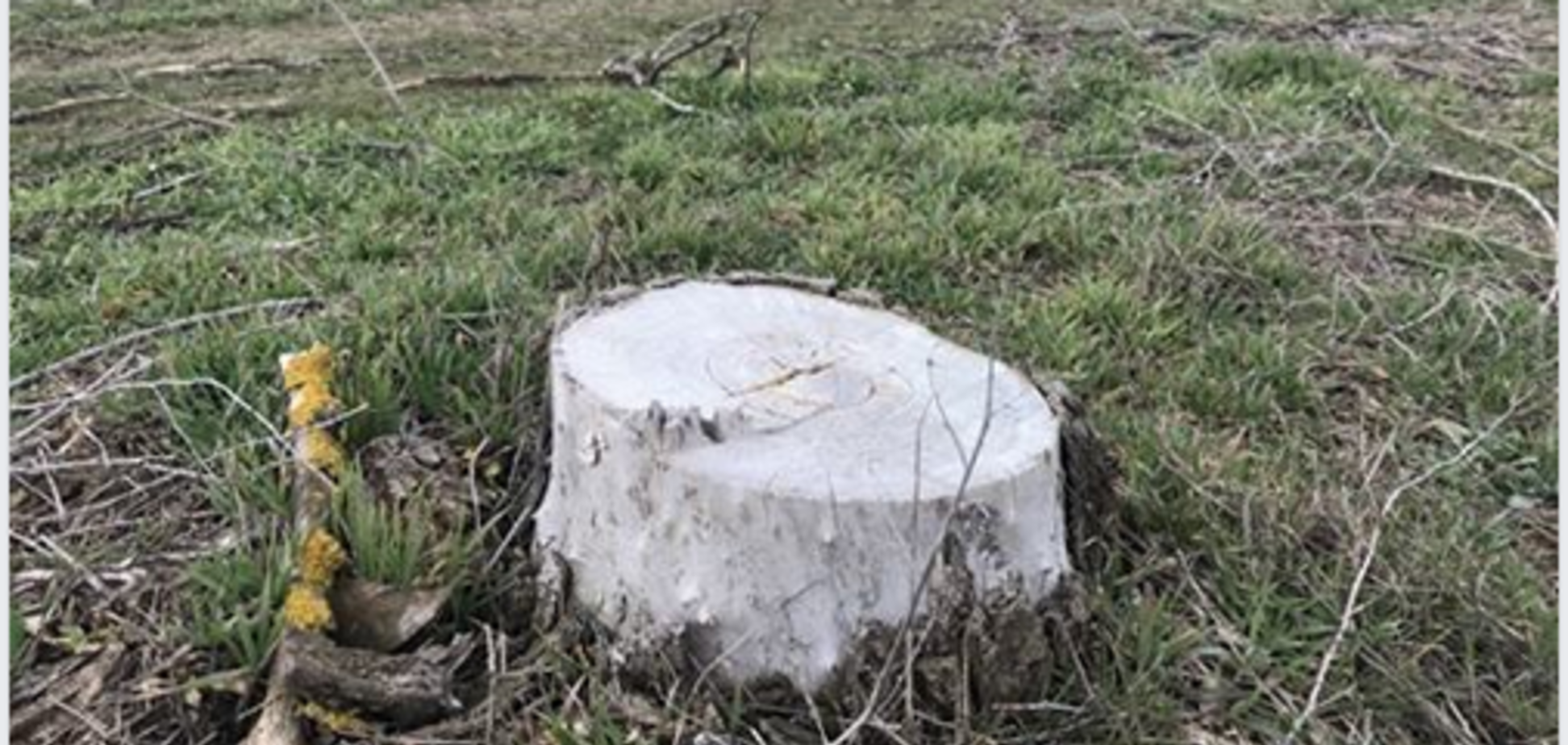 Новости Крымнаша. Пень к пиву для крымчан