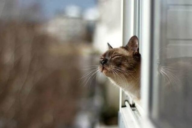 ''Як на початку століття'': синоптик дала прогноз на всю весну в Україні