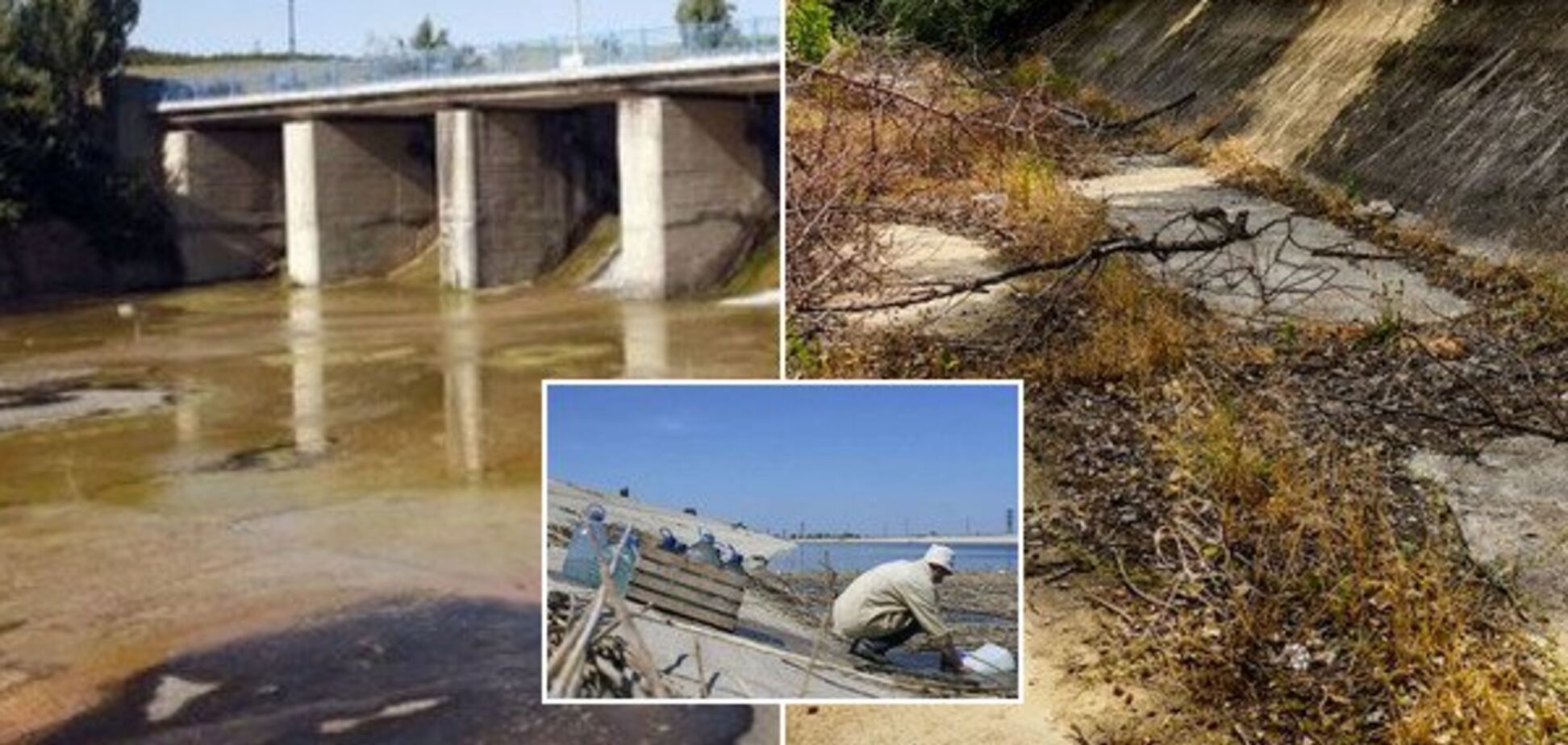 Люди покидают дома, вода отравлена. В Крым пришла новая беда
