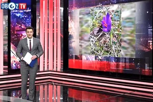 21 февраля: международные итоги дня