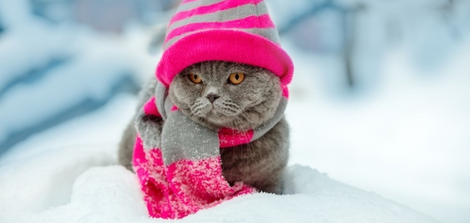 До -17: синоптики дали морозный прогноз на выходные в Украине