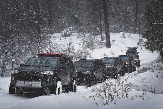 В Лос-Анджелесе впервые за полвека выпал снег: фото и видео необычного явления
