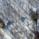 ''Выгребайте!'' ВСУ феерически разгромили спрятанные танки террористов