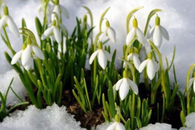 До +10: синоптики дали прогноз на перший день весни в Україні