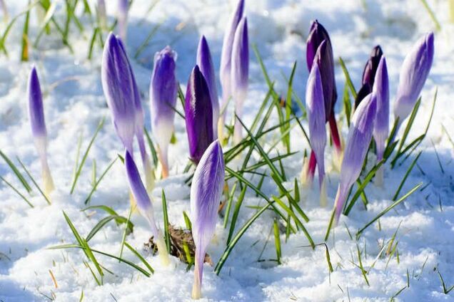 Морозы не отступят: синоптики дали подробный прогноз на март в Украине