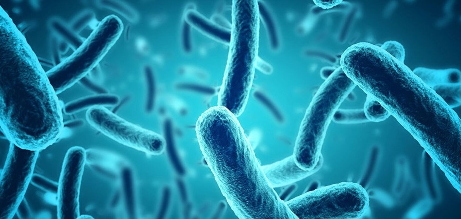 Змінюють форму і поведінку: вчені виявили бактерію-'зомбі'