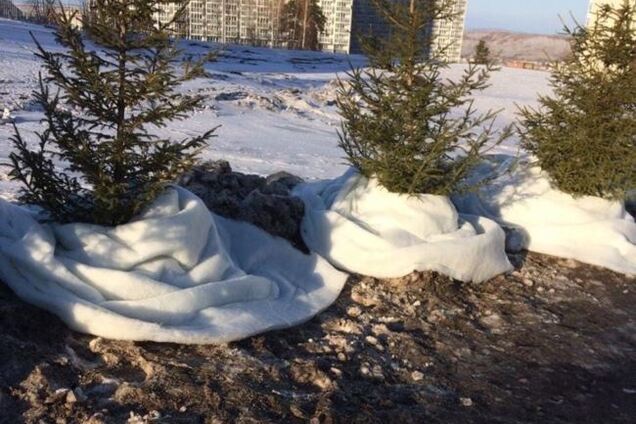 'Таких довбо**бів світ не бачив!' У Росії побілили сніг до свята: відеофакт