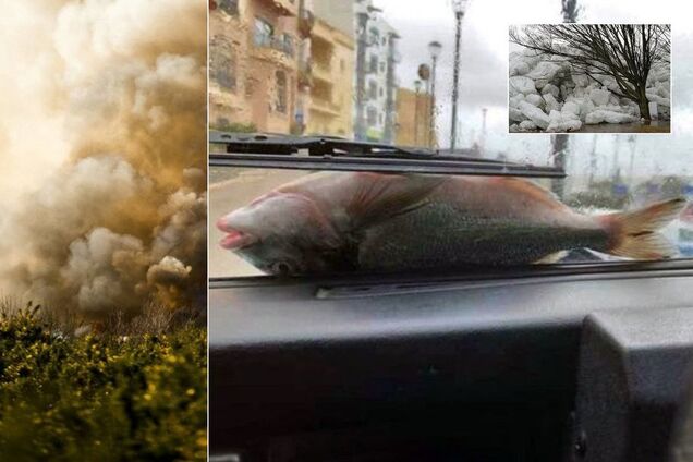 Ледяные цунами и дождь из рыбы: мир накрыл погодный апокалипсис
