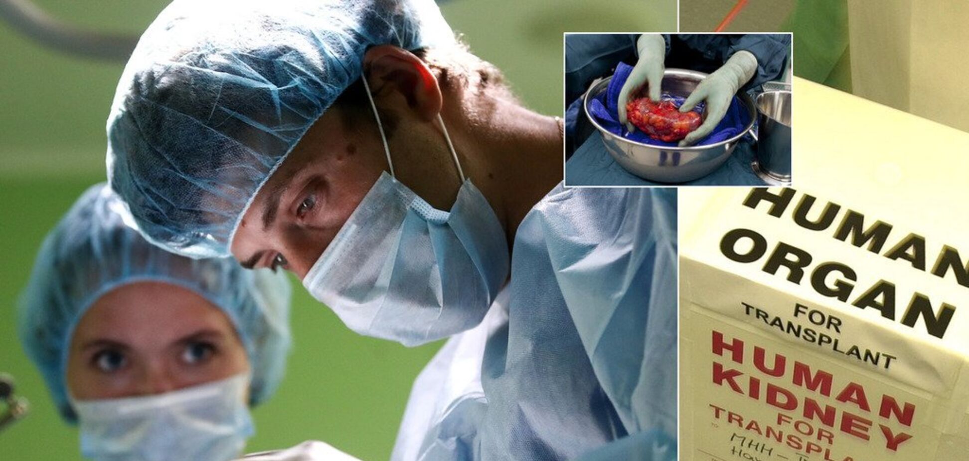 'Она ужасно мучилась': как Минздрав провалил трансплантацию в Украине