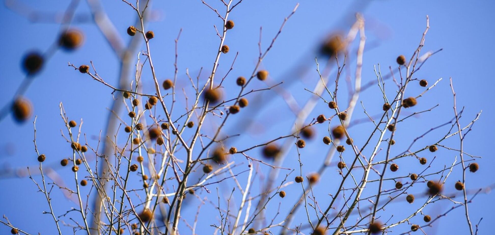 Дождь и +14: синоптики дали неожиданный прогноз погоды на начало недели