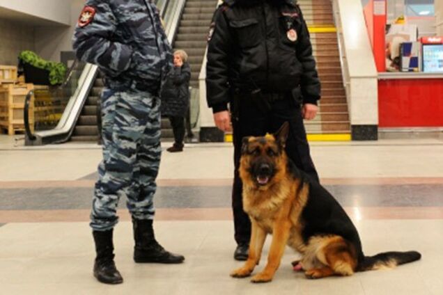 В Москве запаниковали из-за бомб в десятках ТЦ и школ: силовики нашли "украинский след"