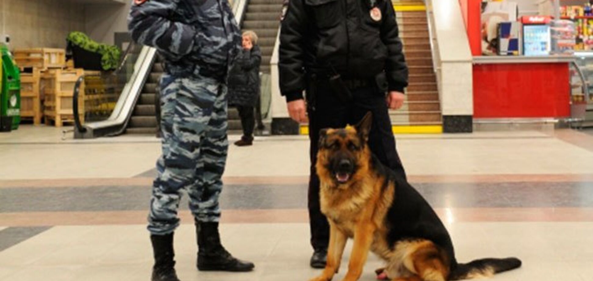 В Москве запаниковали из-за бомб в десятках ТЦ и школ: силовики нашли 'украинский след'