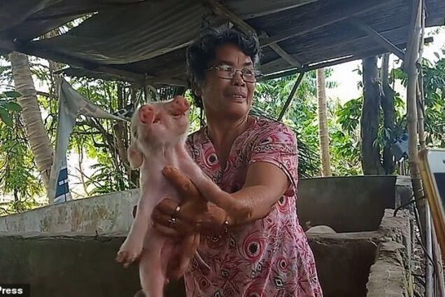 Два носа, три глаза: на Филиппинах родился двуглавый мутант. Шокирующие кадры