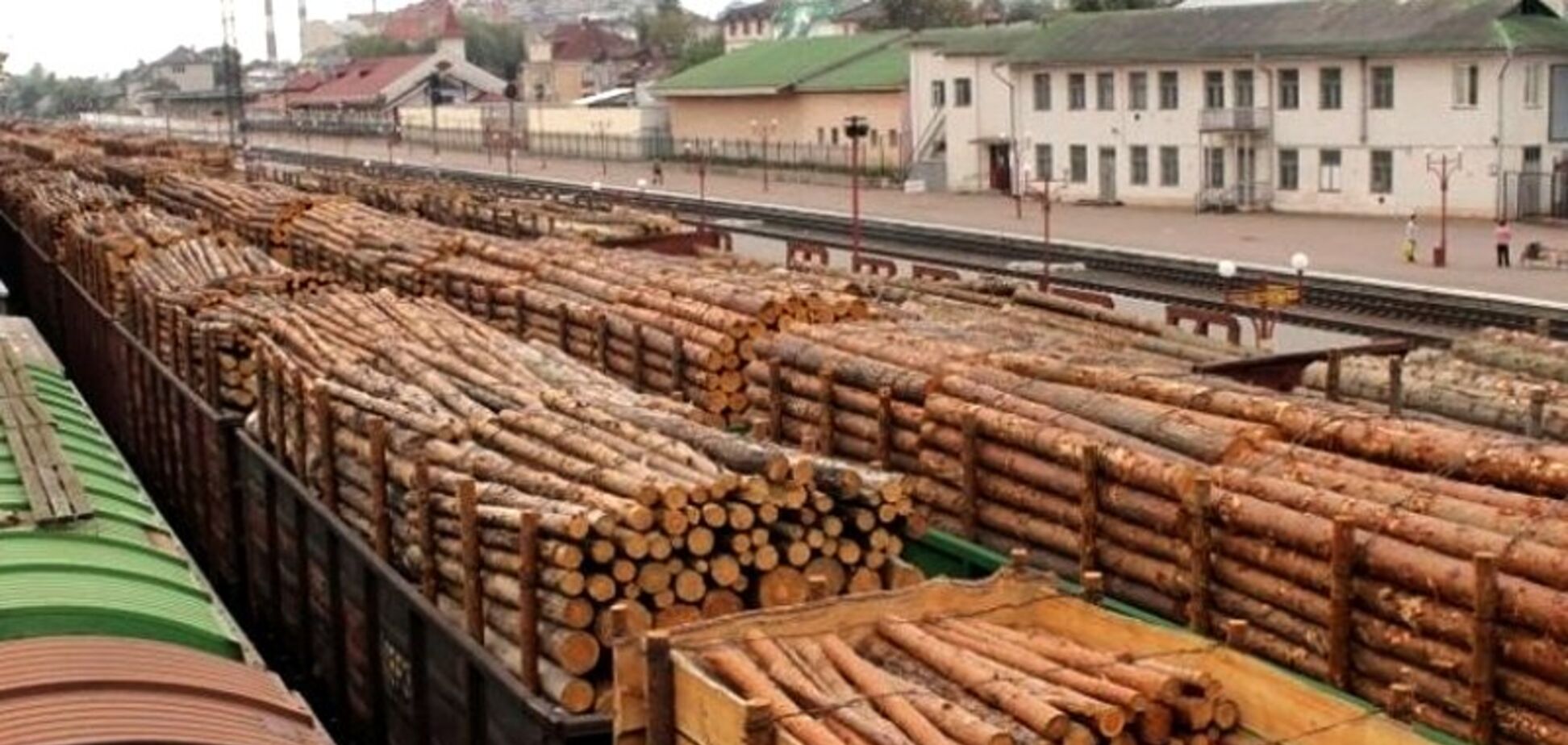 'Сім колод - це крадіжка, а вагонами - бізнес': у мережі висміяли боротьбу з вирубкою лісу в Україні