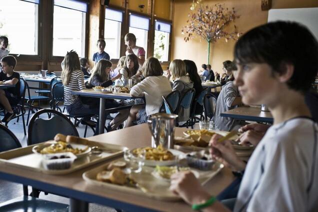 Российская гимназия накормила учеников червями: фото и подробности громкого скандала