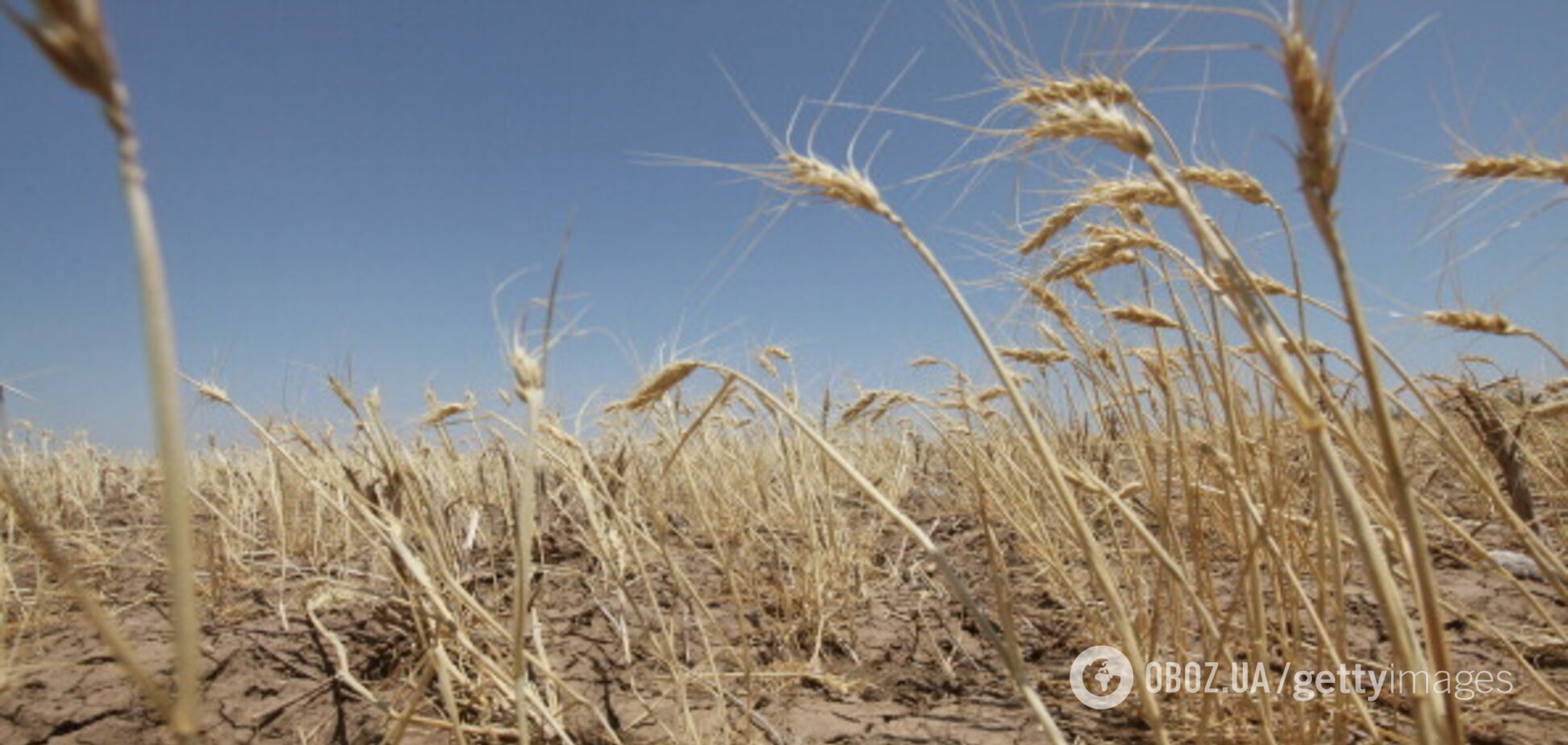 Катастрофическая засуха в Крыму обострилась: оккупанты положили глаз на реки