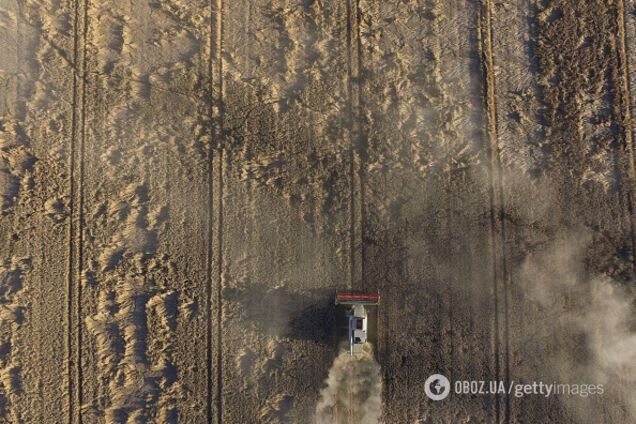 Українці витрачають половину доходів на продукти: названо причину